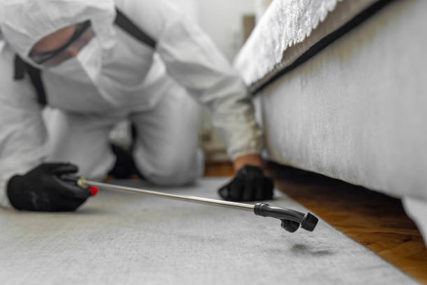 Professional Cockroach Control technician working in Clintonville, WI