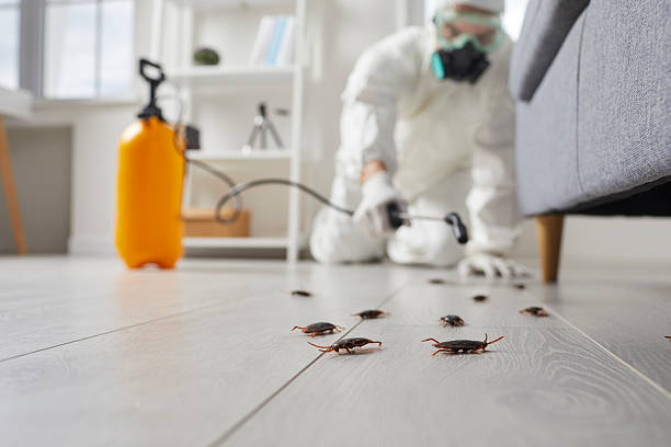 Trusted Cockroach Control service in Clintonville, WI - Nex Pest Control